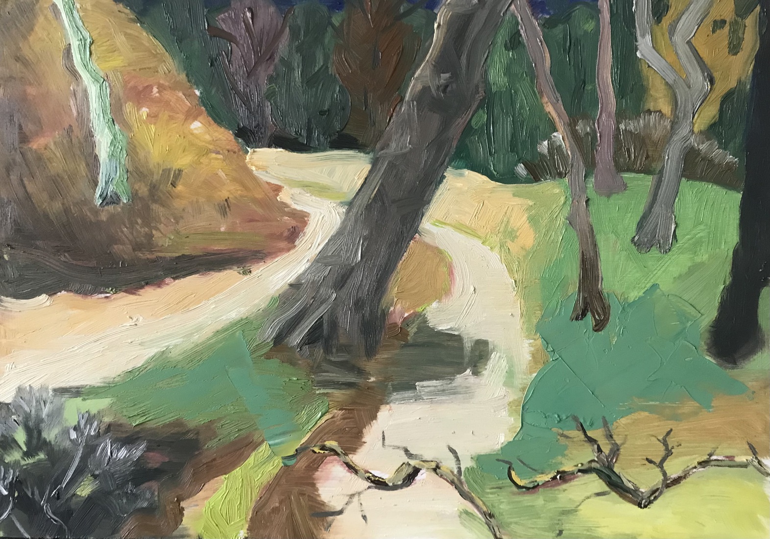 Forest path