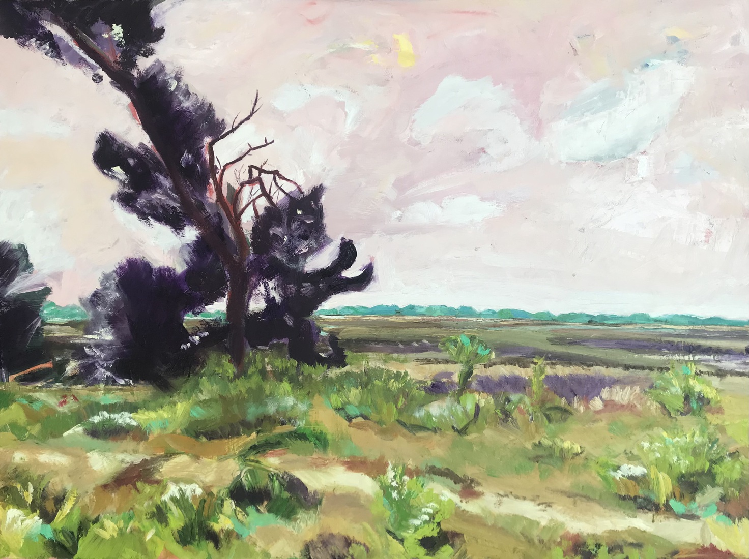 Hay-landscape