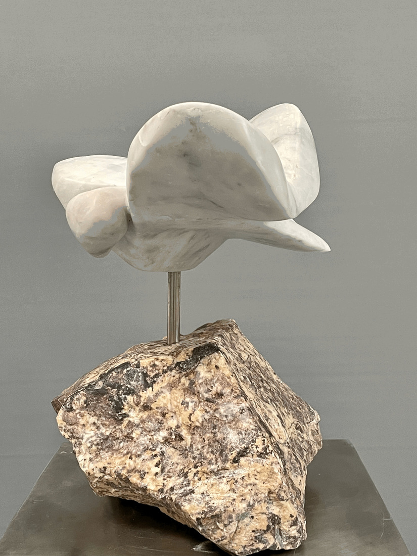 Uccello 1