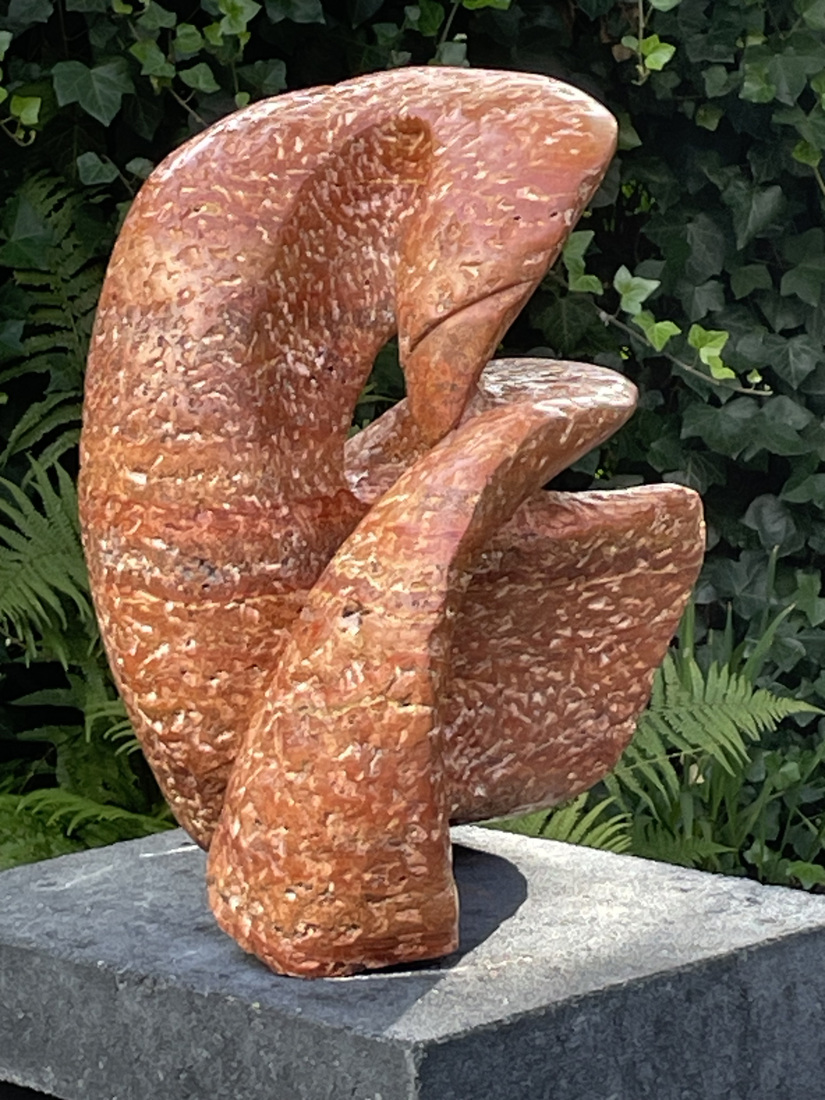 Cigno Rosso