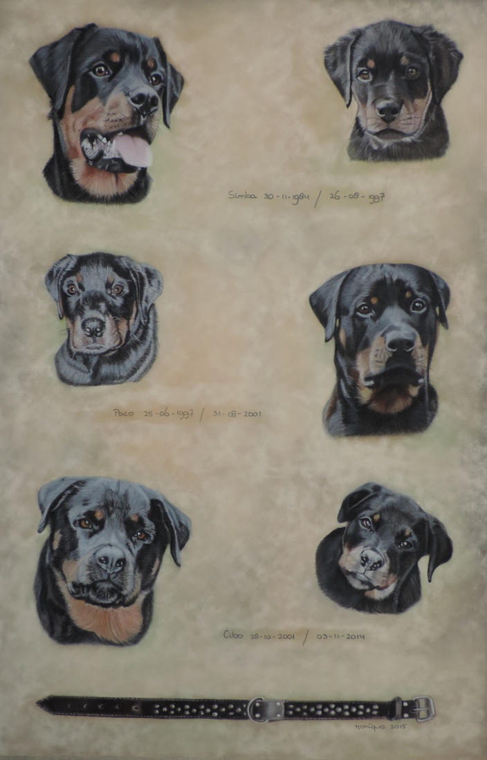 Collage Rottweilers
