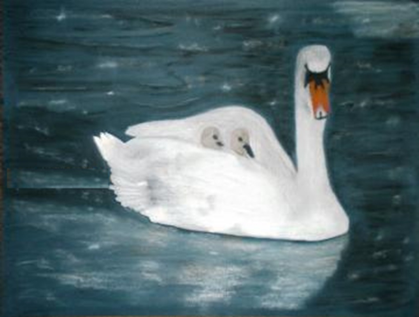 Taxi zwaan