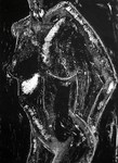 Monotypes zijn eenmalige afdrukken, vervaardigd op een glasplaat of een andere gladde ondergrond. Na het uitrollen en werken van en in de blockdrukinkt wordt een papier over de tekening gelegd en er zo een afdruk van gemaakt. Later wordt er soms met ecoline in gewerkt, waardoor men van een gemengde techniek spreekt.