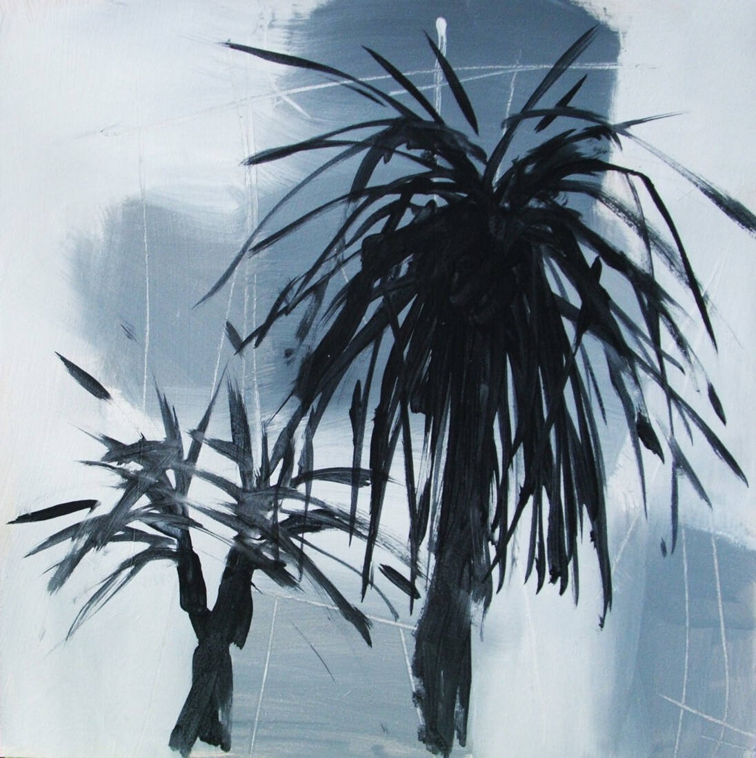 Plant no color 11