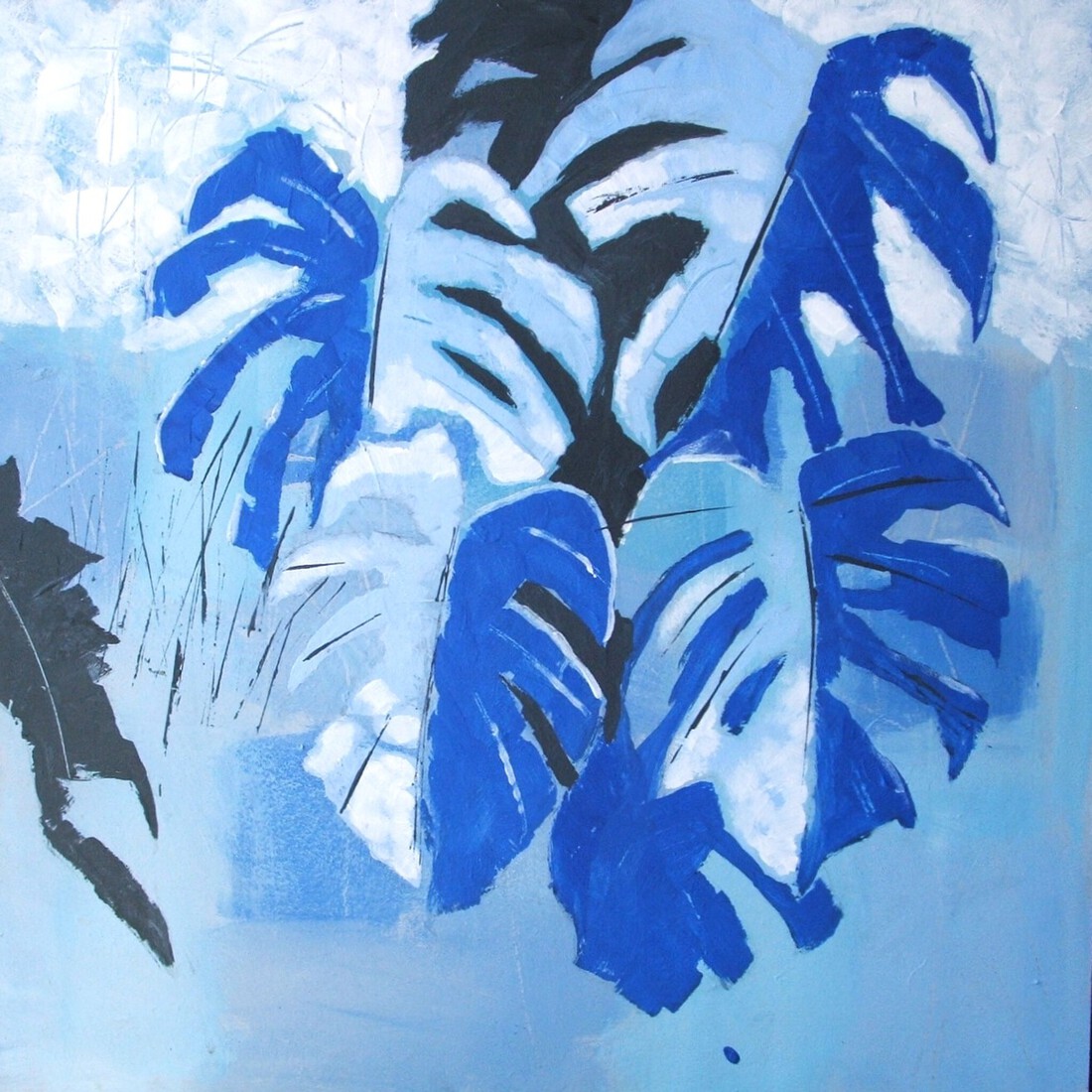 Monstera