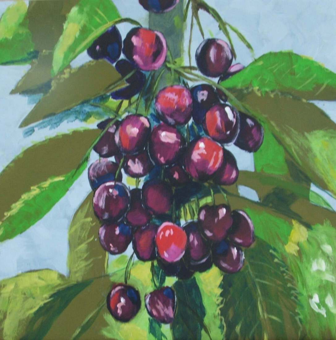 Cherries