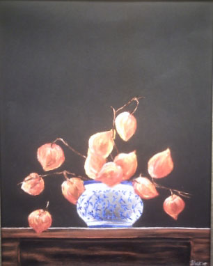 Oranje lampionbloemen