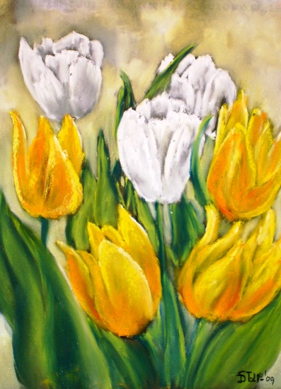 Gele en witte tulpen