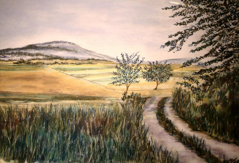 Weggetje in de Bourgogne Frankrijk