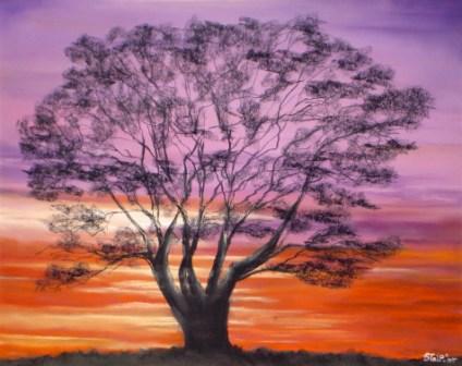 Boom bij zonsondergang