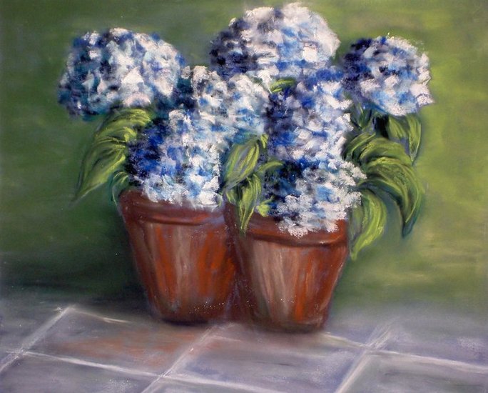 Hortensias