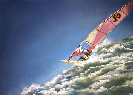 Windsurfer