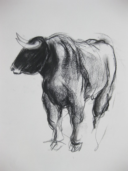 Stier 4