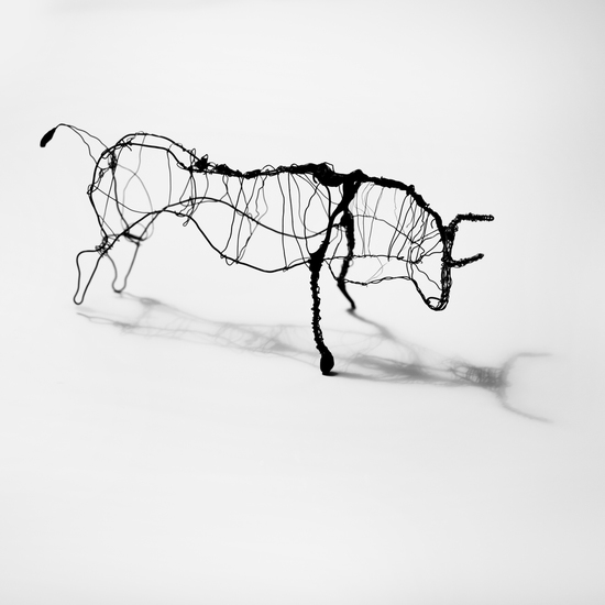 Stier in draad 2