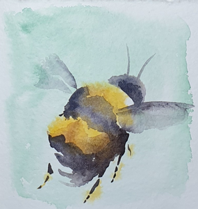 Aquarellen van diverse onderwerpen van natuur tot mensen.