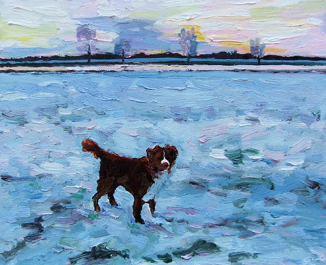 hond in winter bij Maas 448