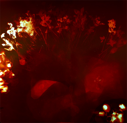 Photogram