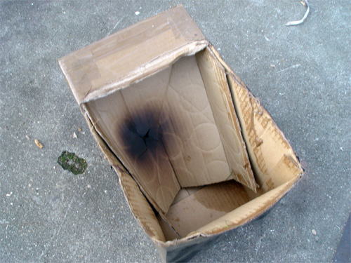 The remains