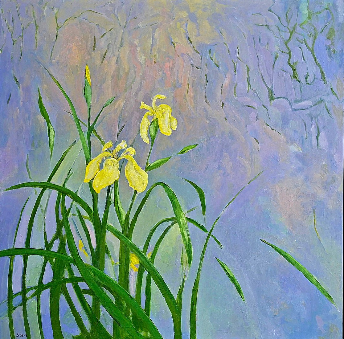 The Yellow Iris