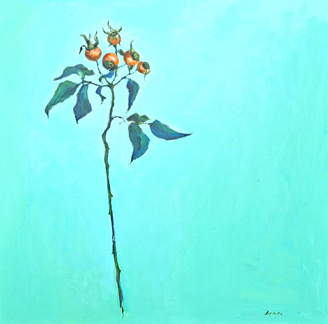 Rose Hips