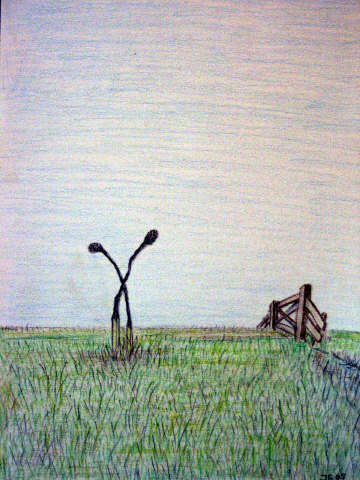 Bejaard stel in wei (old couple in a meadow)