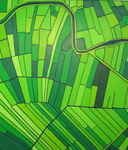 De Hollandse landschapsarchitectuur, toonbeeld van de menselijke ratio (orde)