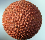 Schilderijen en reliëfs met als thema ' De Mensenmassa'