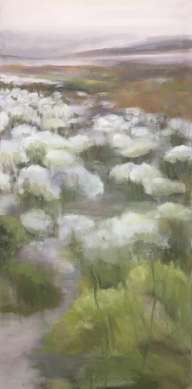 landschap op zuidkaap