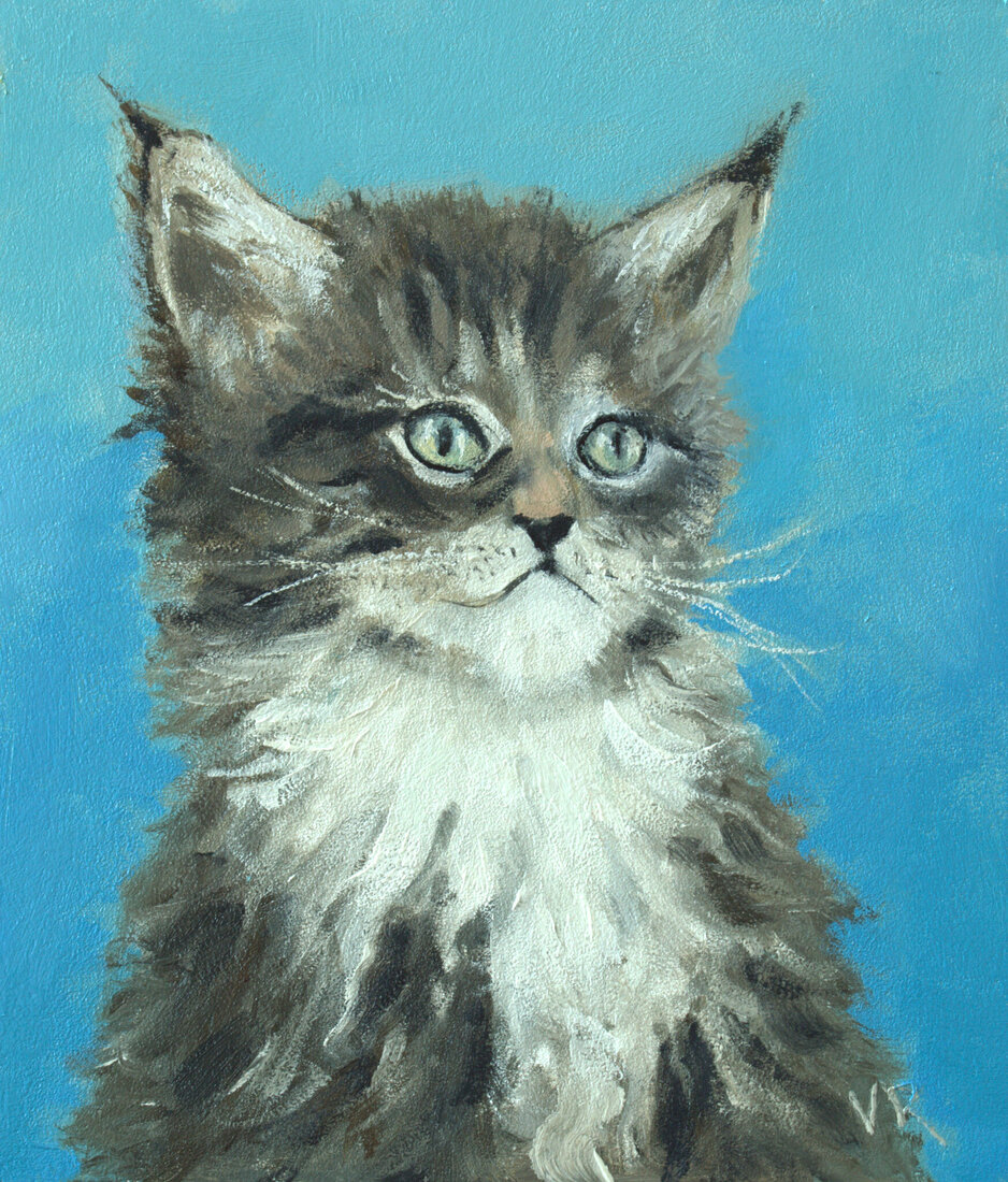 Kitten 2