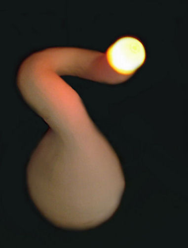 organic lightforms 1