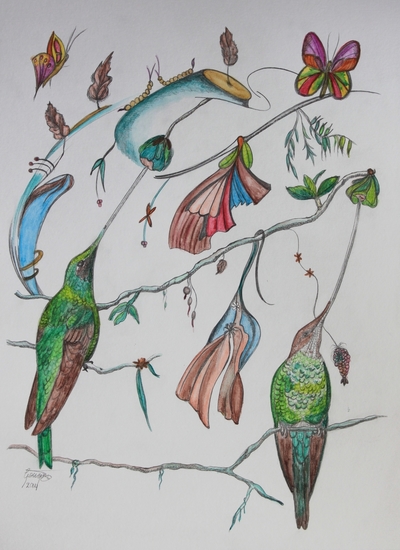 Sword Billed hummingbirds