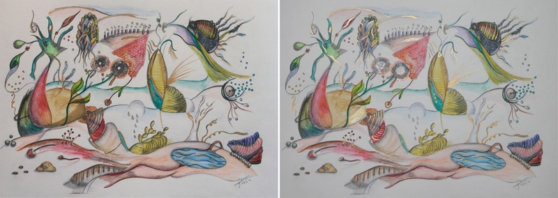 Enjoying the scenery