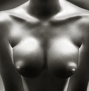 Torso
