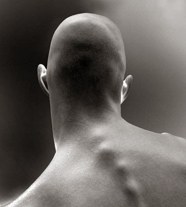 Head