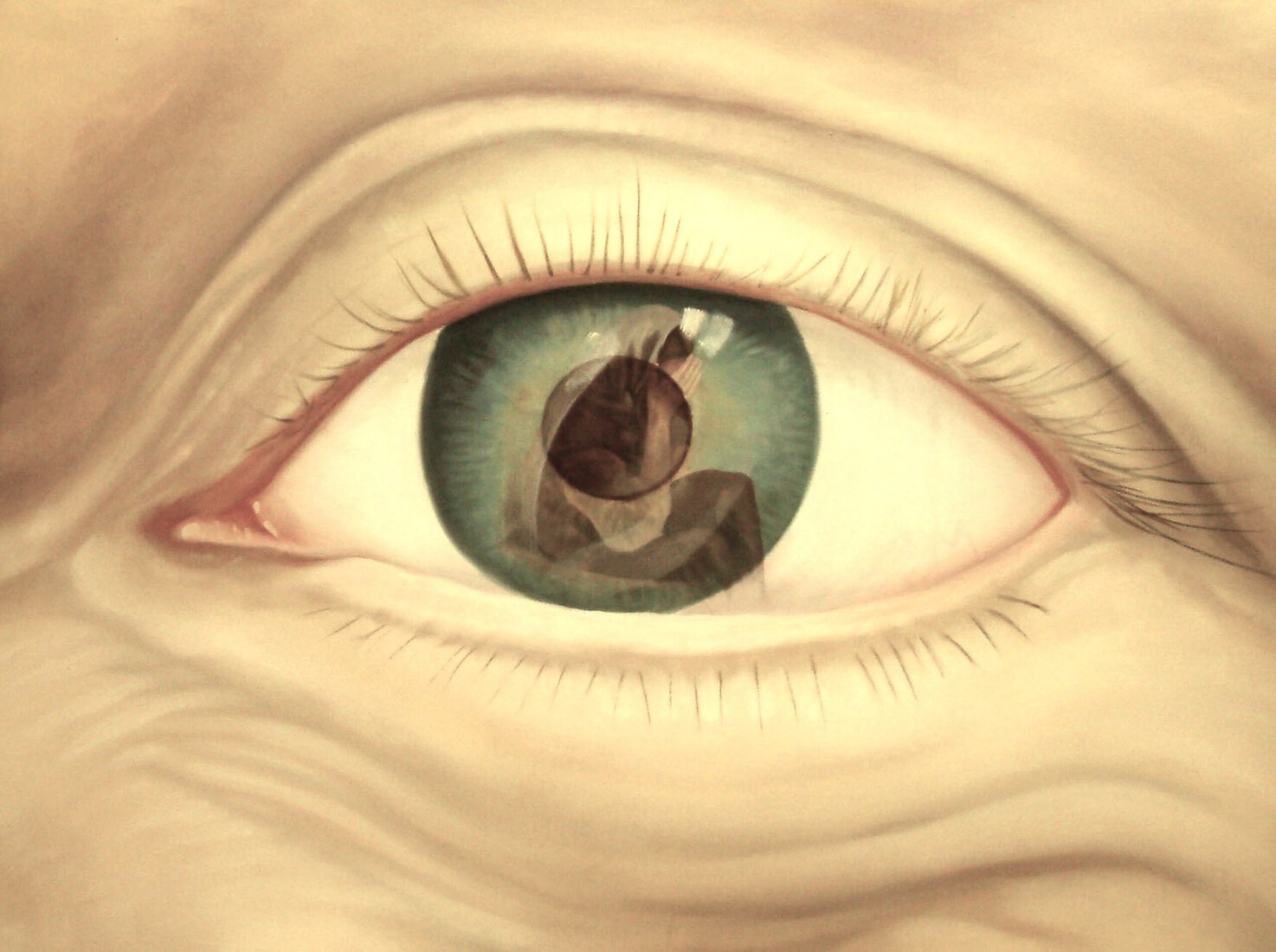 Oog met reflectie 9.