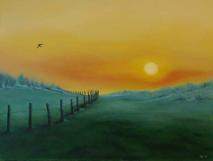 zonsondergang; zo vrij als ...