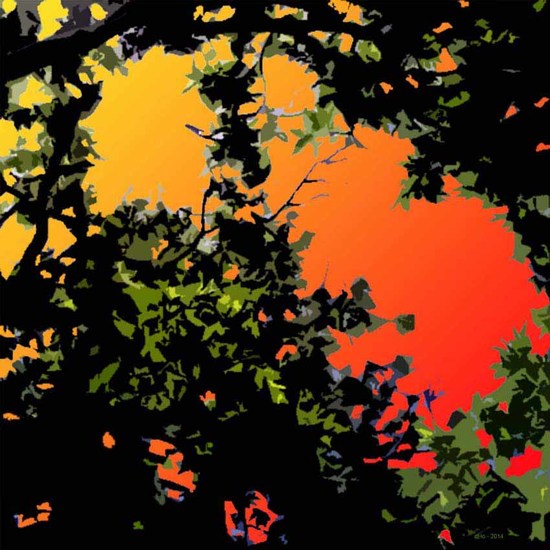 A Forest