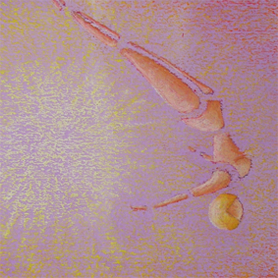 De Duikster II