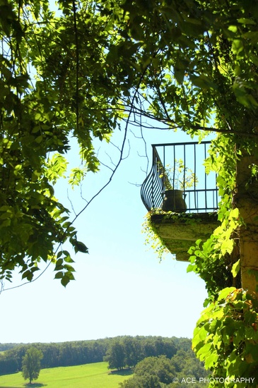 doors, windows and stairs