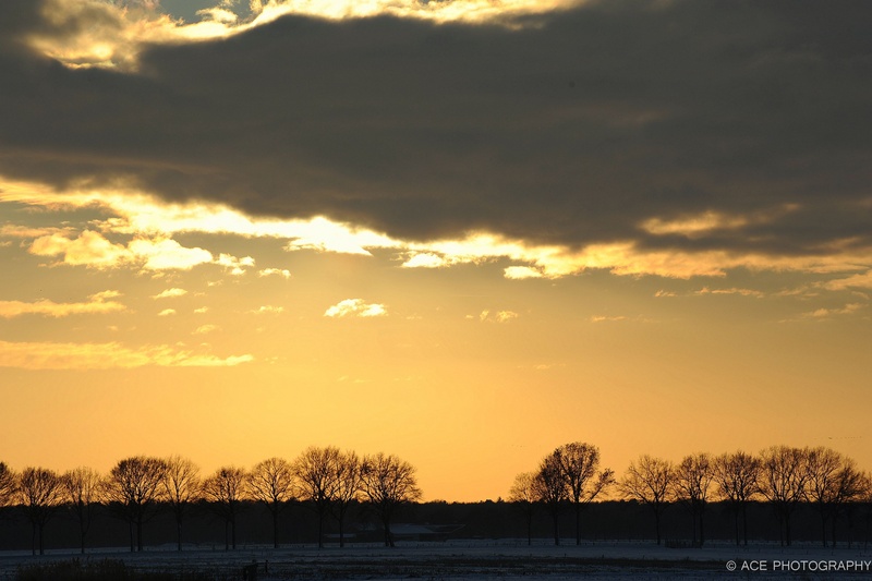 winter wonder the netherlands