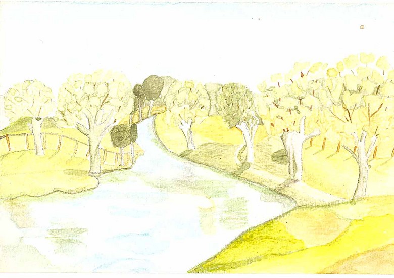 Wilgen
