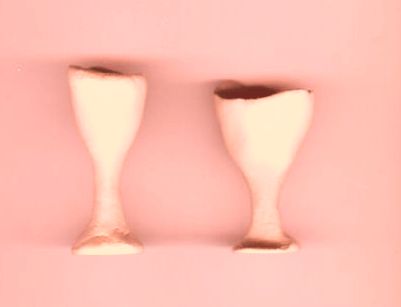 2 vaasjes rose
