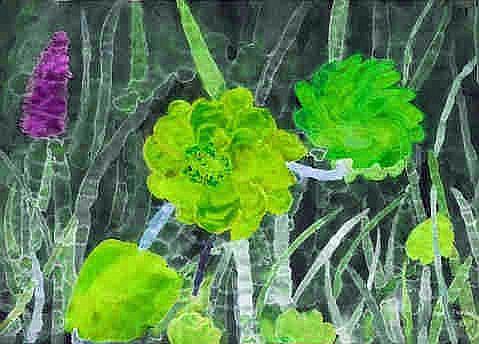 Bloem negatief- groen