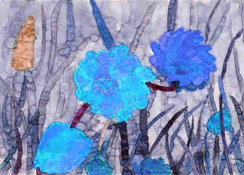 Bloem blauw