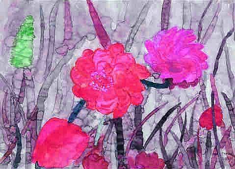 Bloem rose