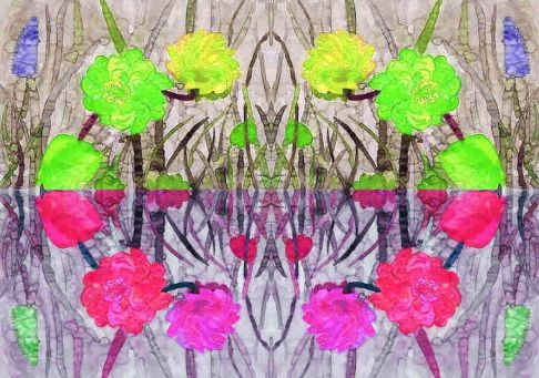 Bloem 4x 1