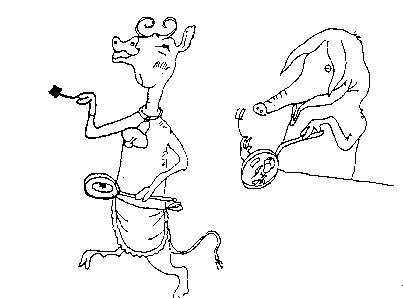 Boe