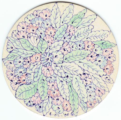 Gekleurde bloemetjes