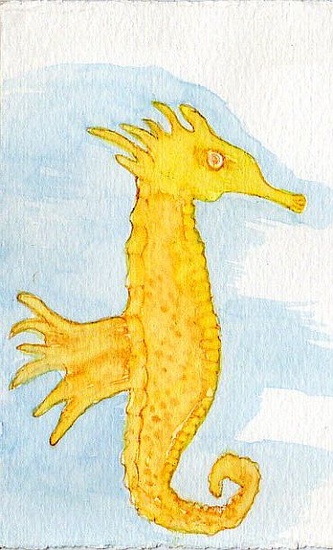 Zeepaardje