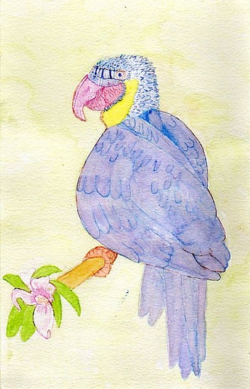 Blauwe papegaai